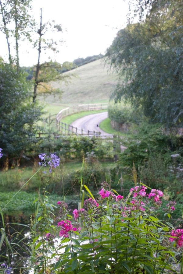 Bagnell Farm Cottage Chiselborough Exteriör bild