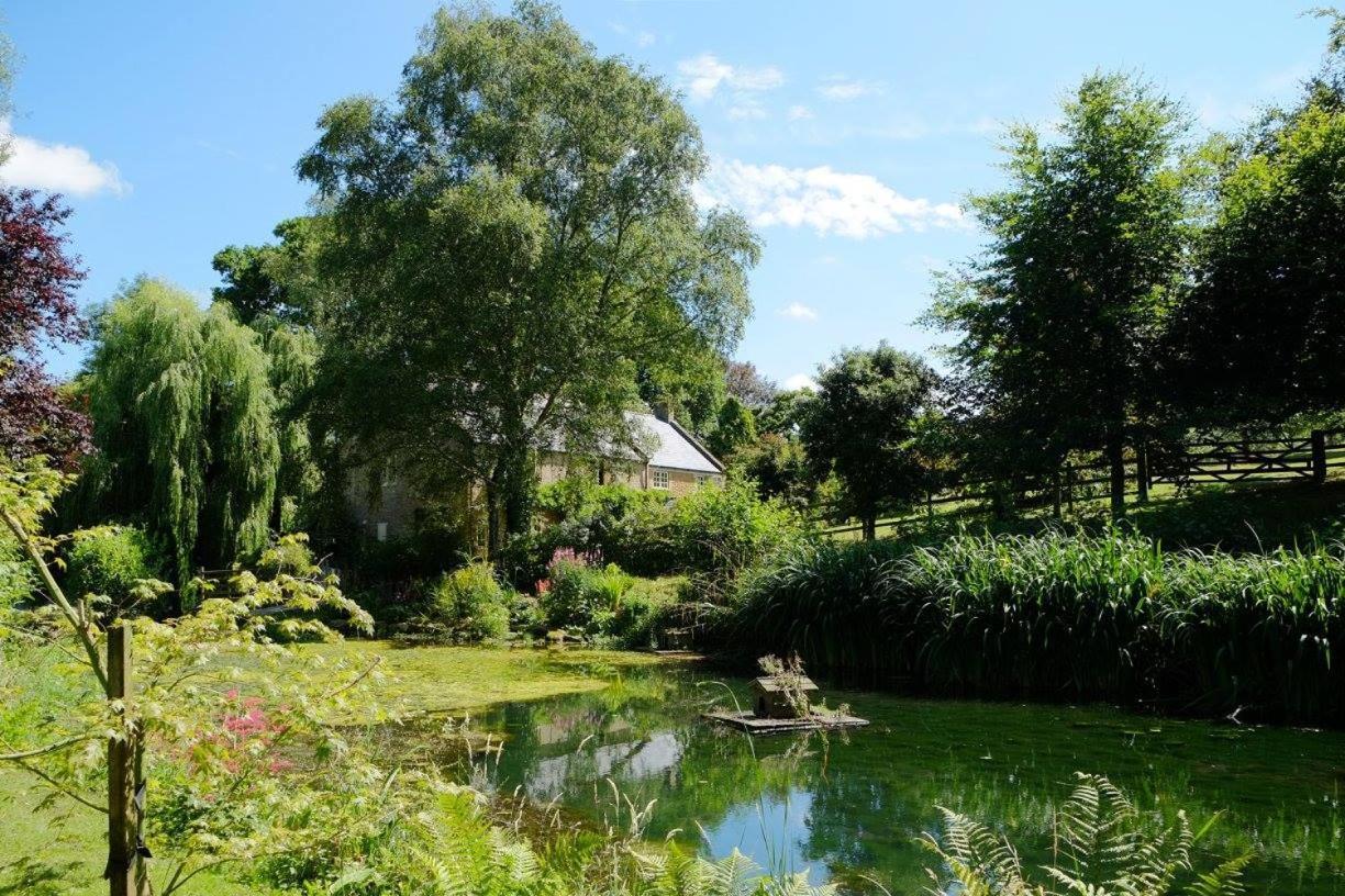 Bagnell Farm Cottage Chiselborough Exteriör bild